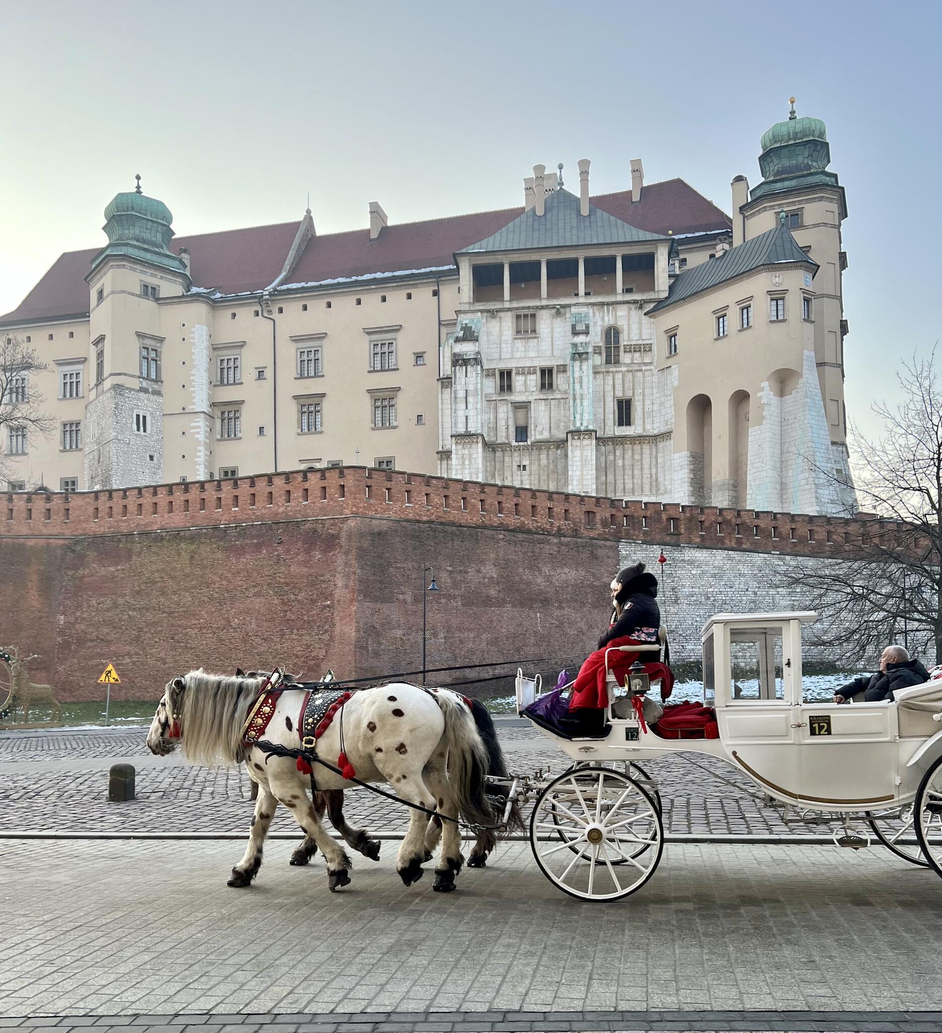 Château royal du Wawel